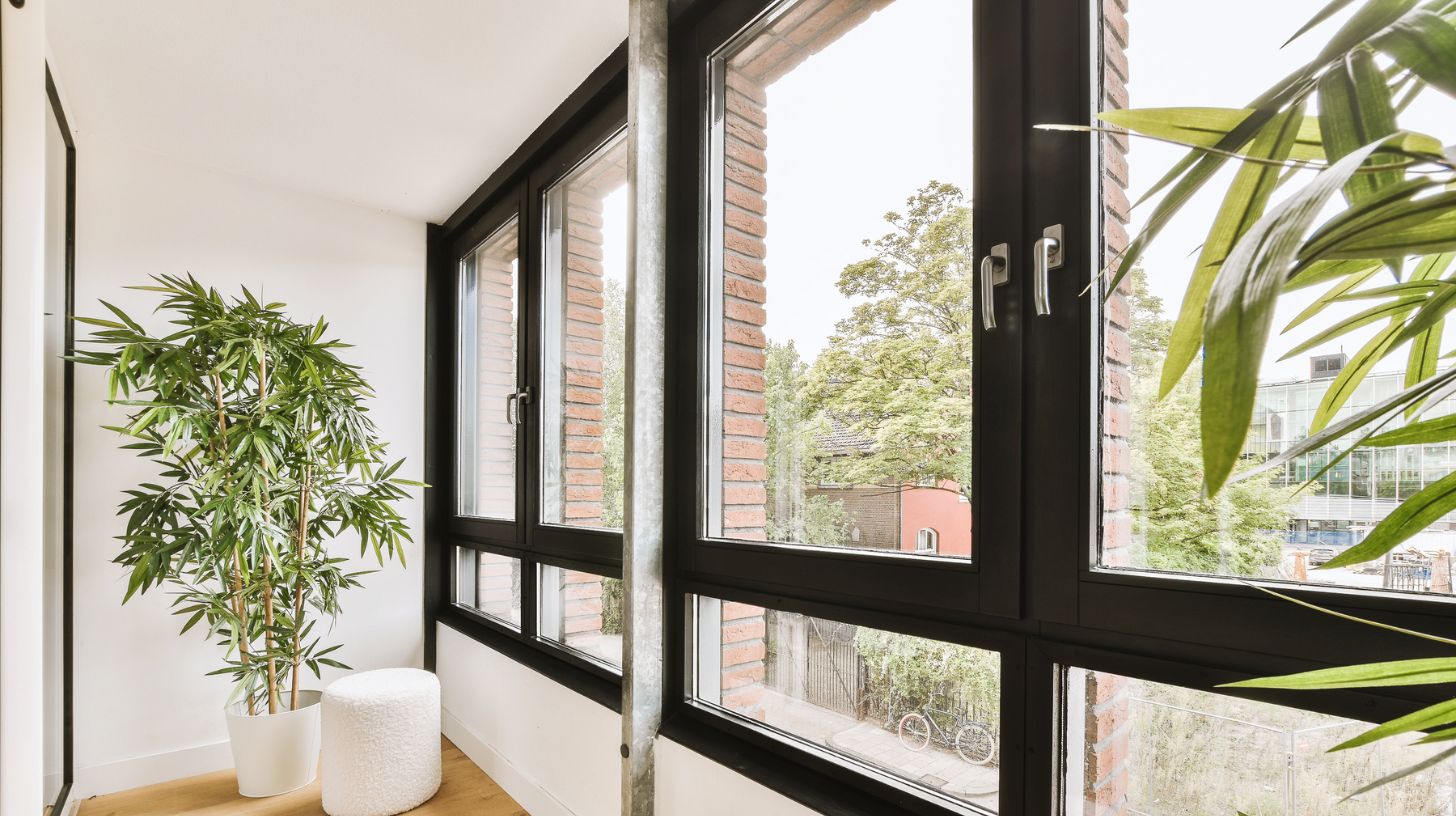 New double glazed windows with a black frame